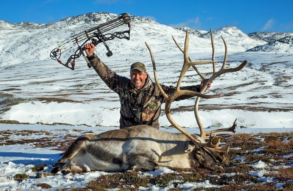 Bowhunting Caribou in Greenland 