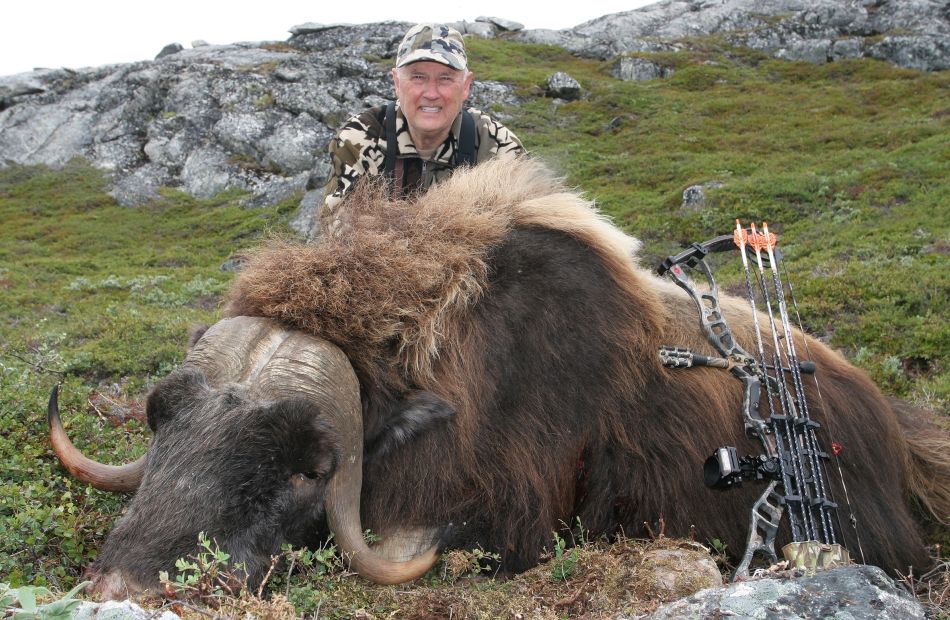 Bowhunting muskox in Greenland, Boone and Crockett