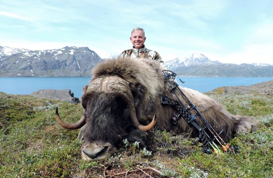 Spot and stalk bow hunting in Greenland