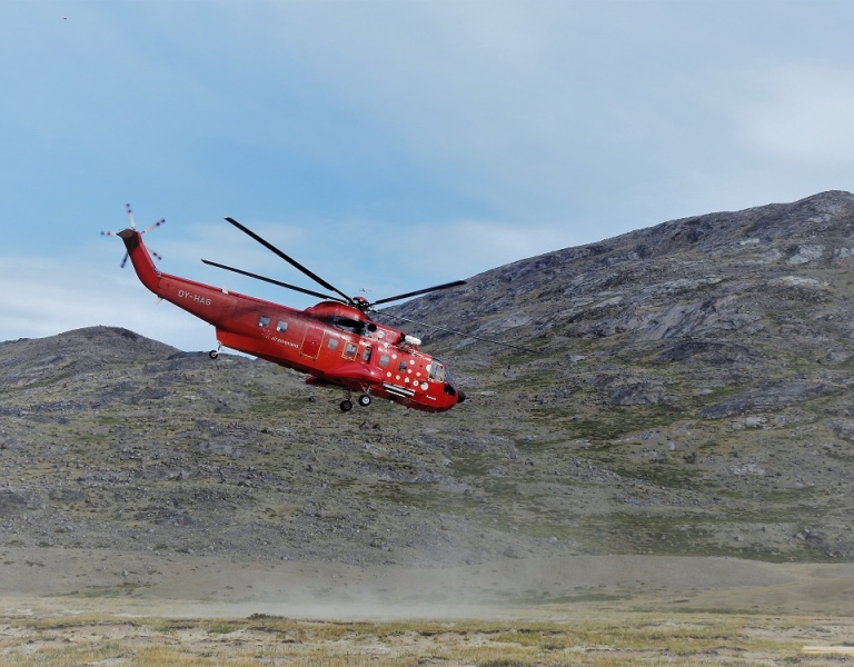 Muskox hunting in Greenland