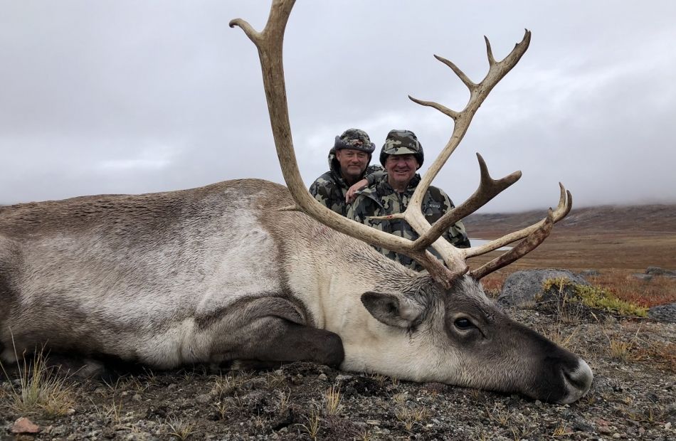 Caribou hunting - day 5 