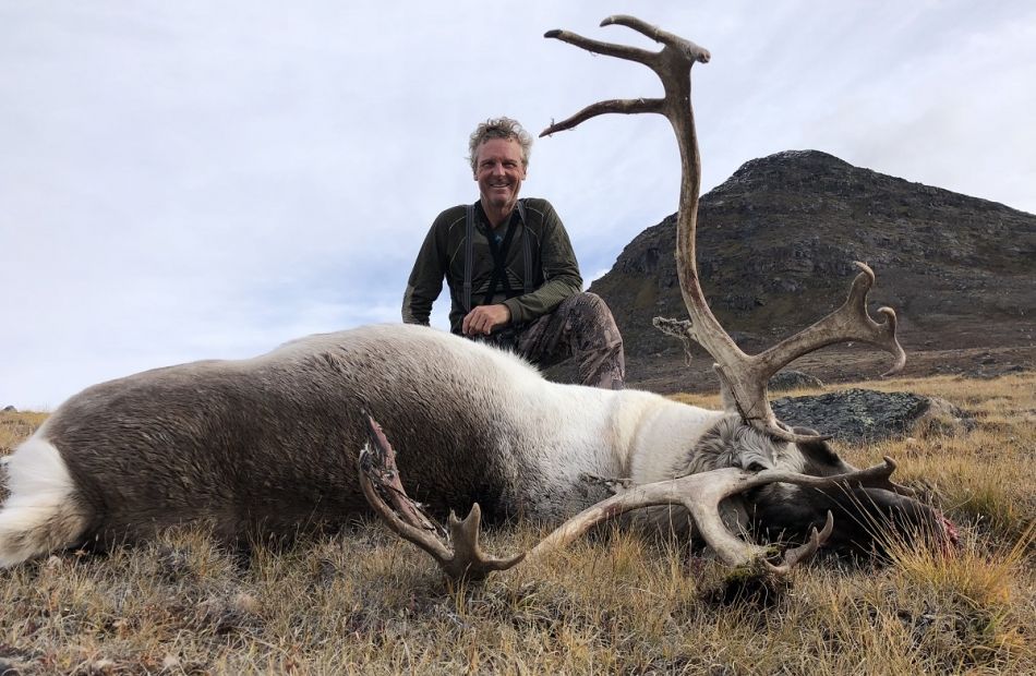 Greenland Caribou 2021