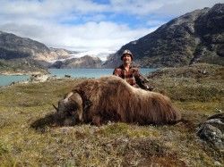 greenland hunting