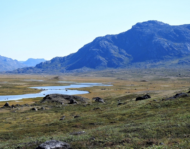 Caribou hunting in Greenland