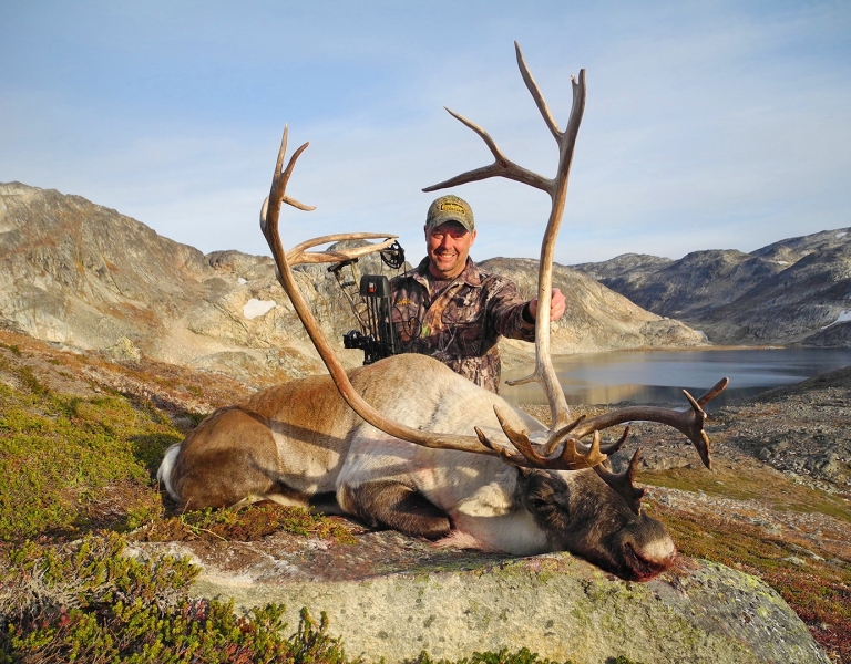 Caribou hunting in Greenland