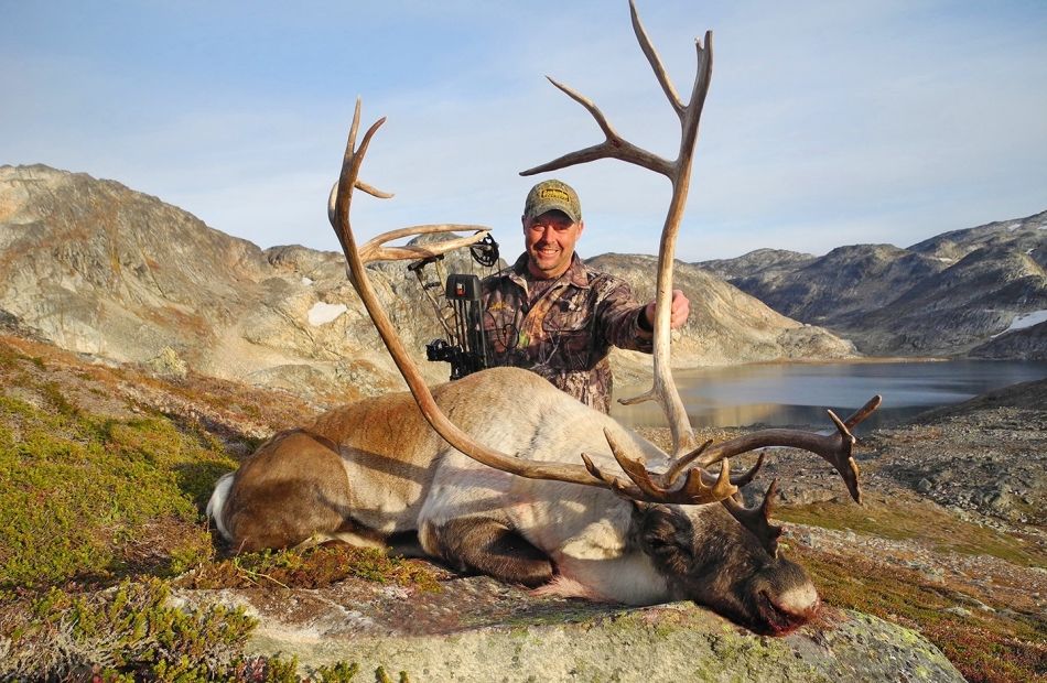 Caribou mountain spot and stalk hunting 