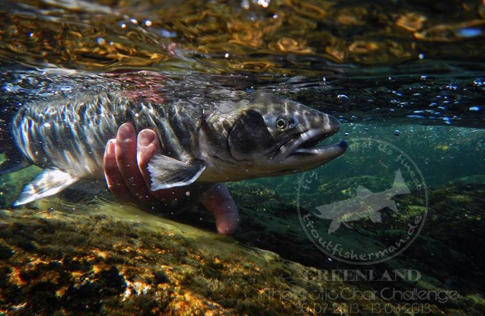 Arctic Char fly fishing Greenland