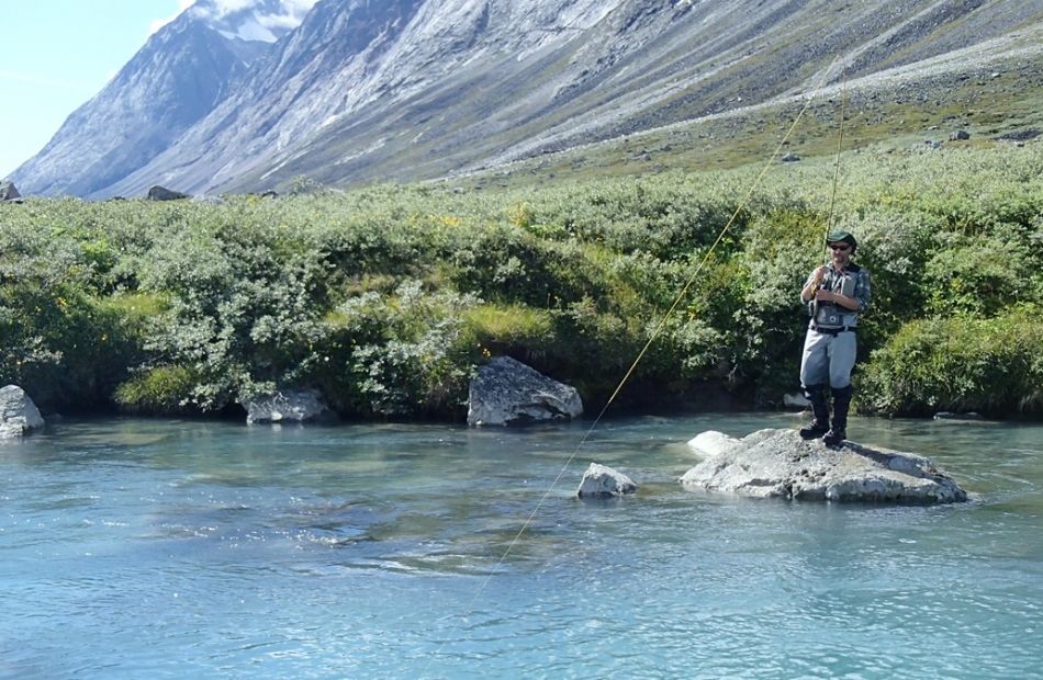 Greenland fly fishing arctic char