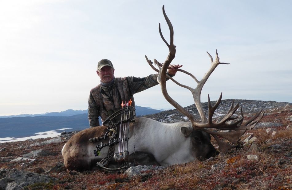 Caribou hunting - bowhuntinggreenland 2016