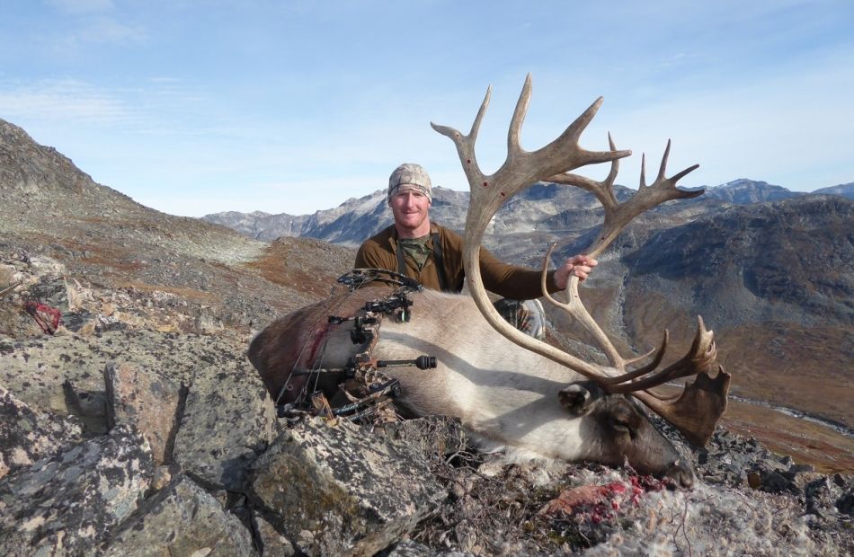 Caribou hunting - bow and arrow