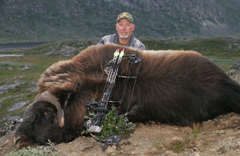 Bowhunter.com muskox 2013