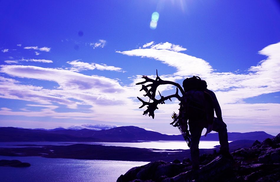 Bowhunting Greenland Arctic Island Caribou 