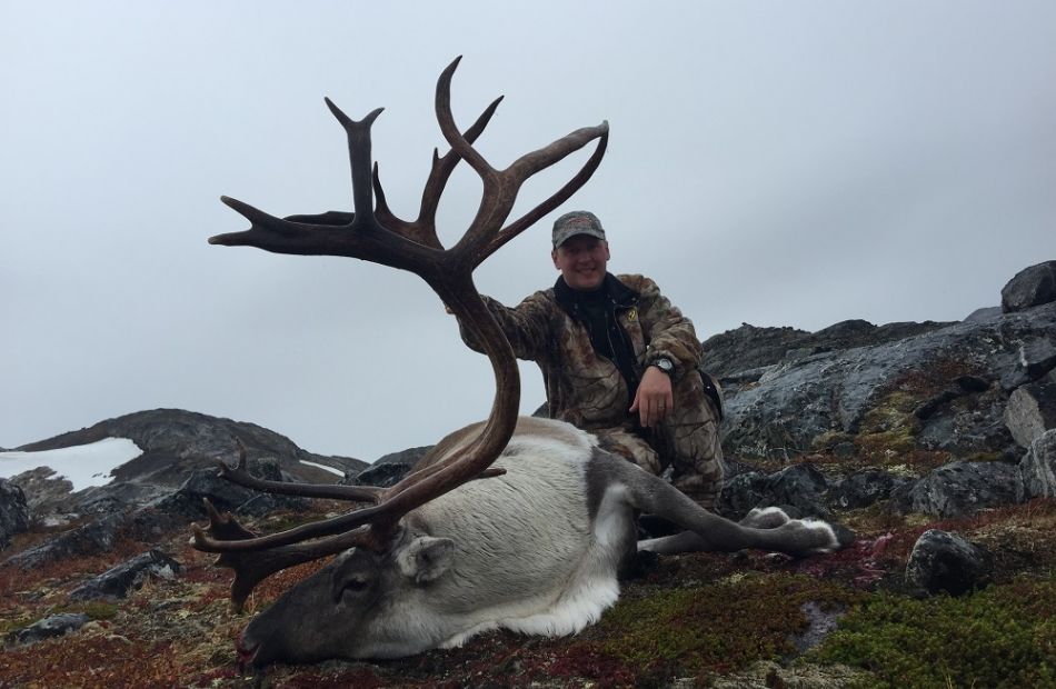 Caribou hunting in Greenland