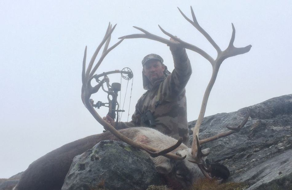 Caribou hunting Greenland