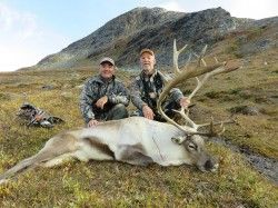 Caribou hunting