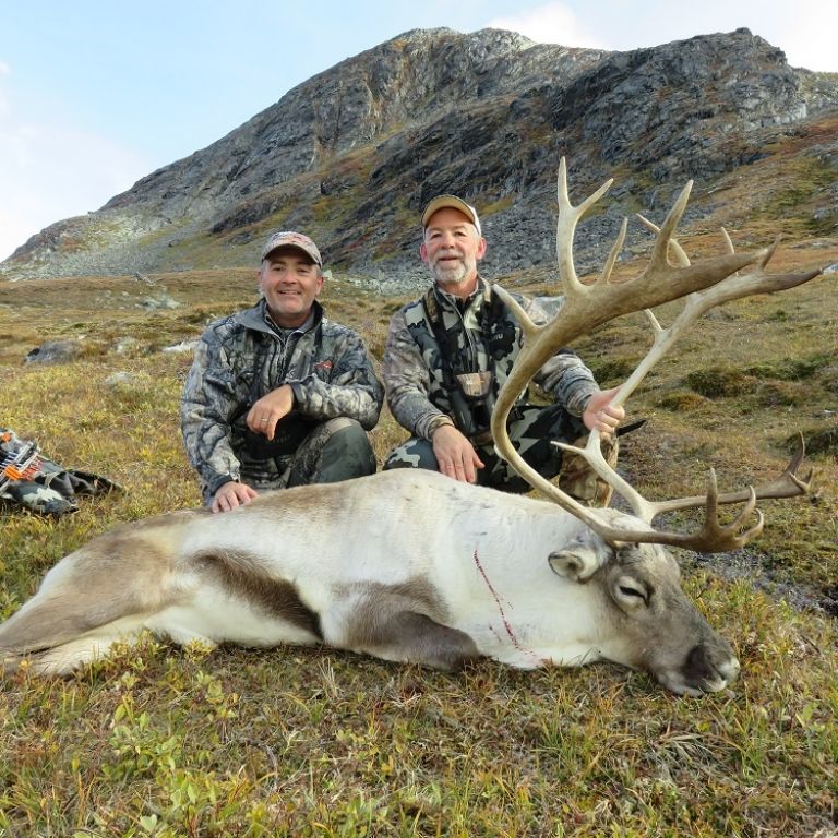 Caribou hunting